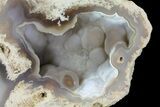 Unique, Agatized Fossil Coral Geode - Florida #60259-2